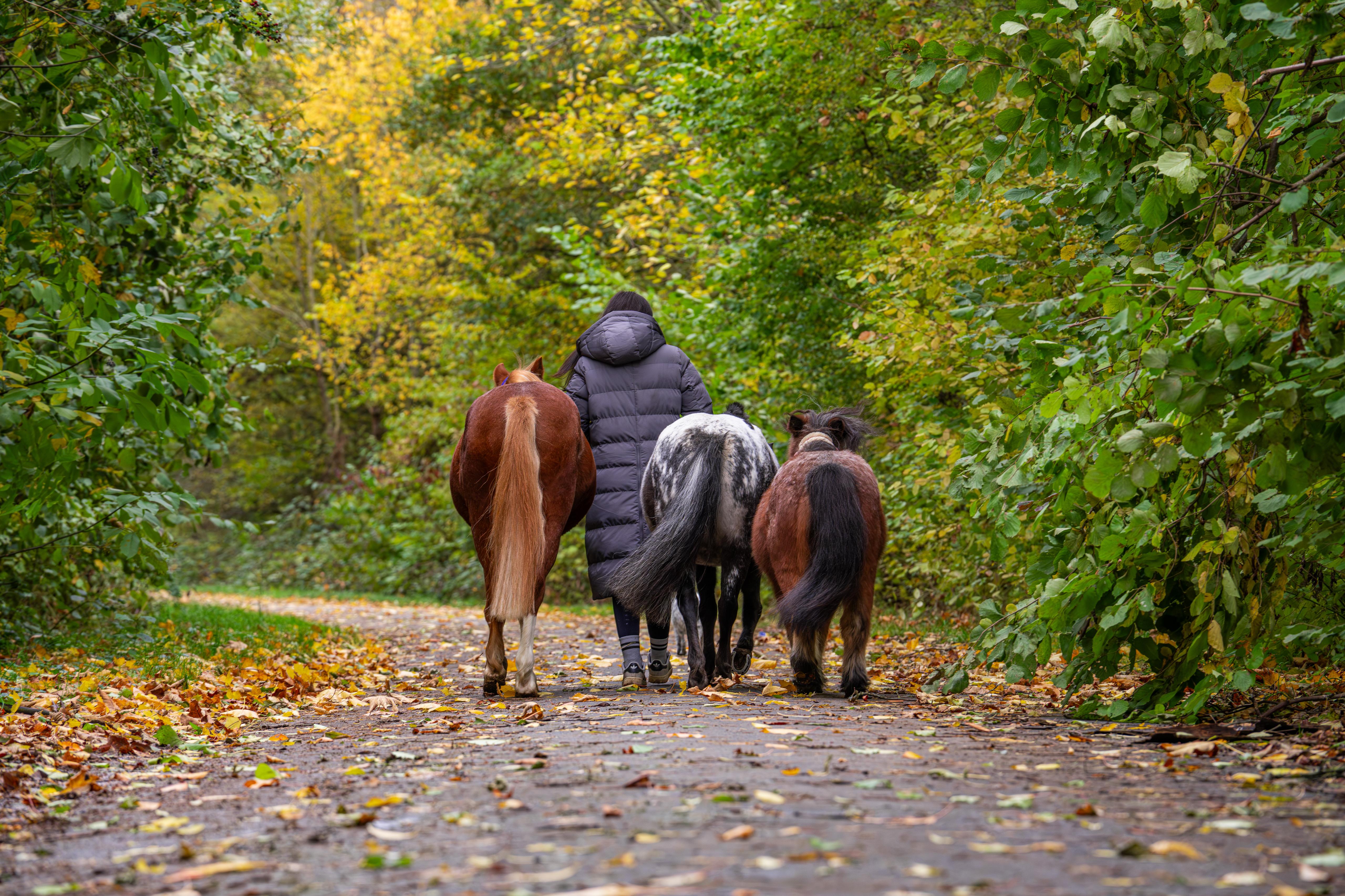 Interesse oder Fragen?